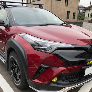 C-HR ZYX10