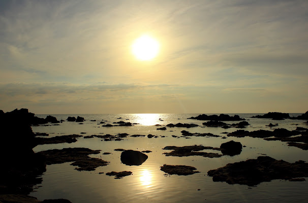 Tramonto - ora d'oro a Dicembre  di ariosa