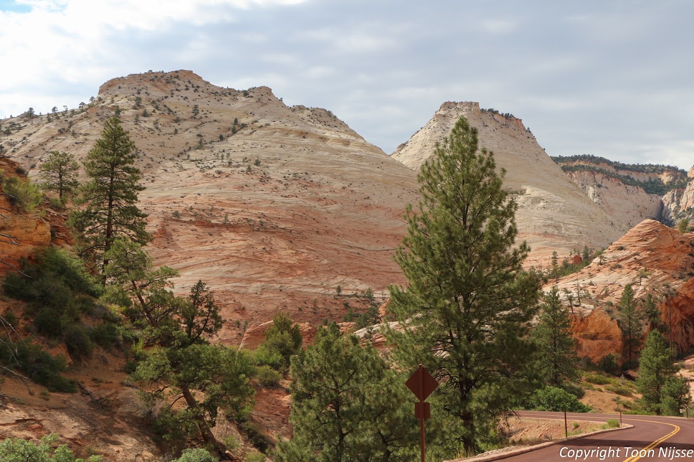 Zion National Park, merkwaardig gevormde rotsen