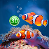 Coral Fish 3D Live Wallpaper1.0.6
