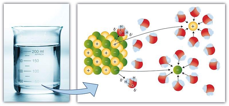 A diagram of sodium chloride dissolution