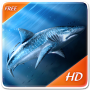 Sea Shark Live Wallpaper  Icon