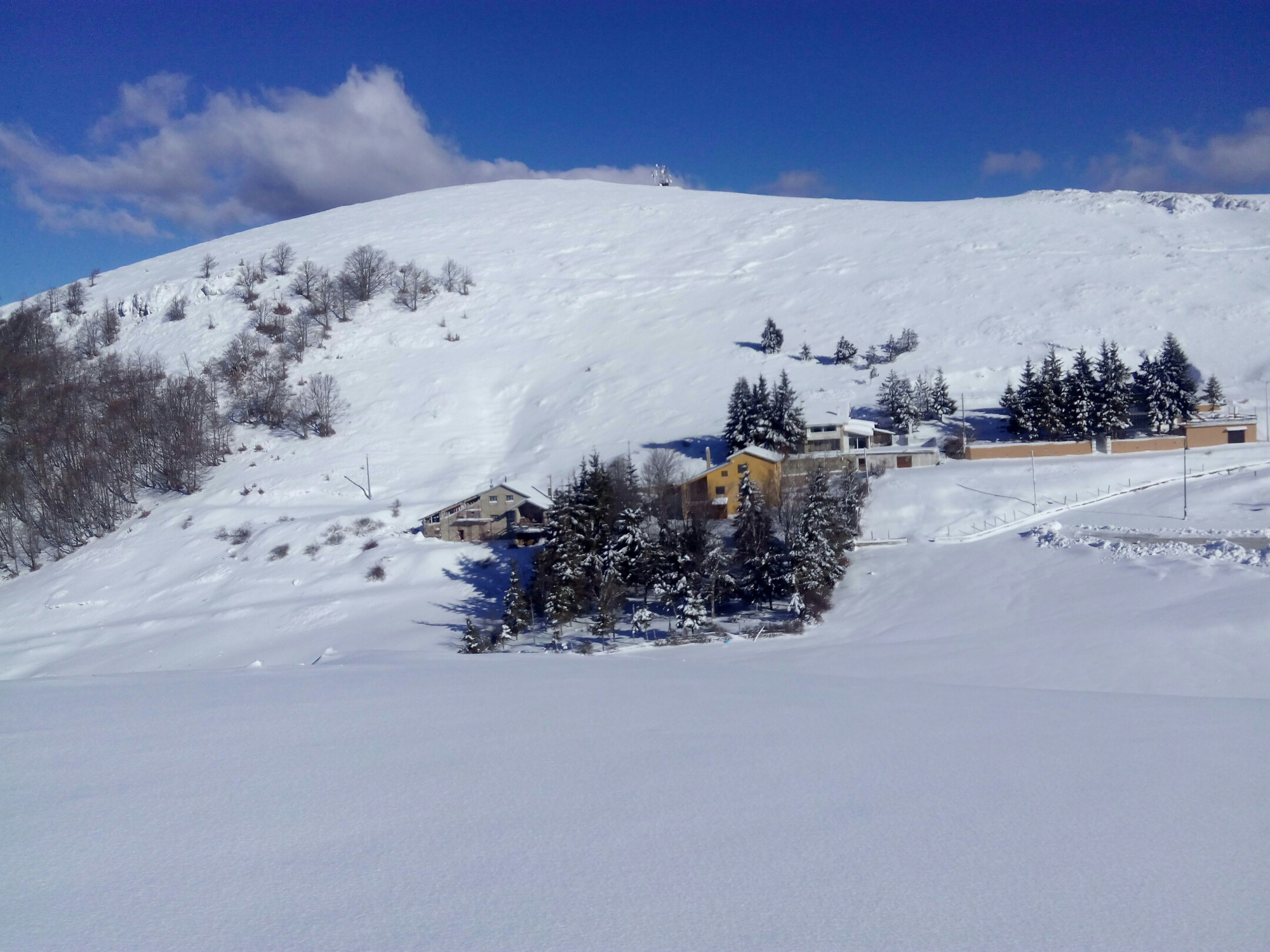 paesagio invernale di irina sirbu