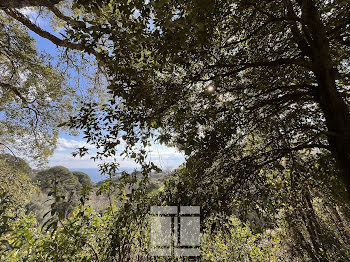 terrain à Bastia (2B)