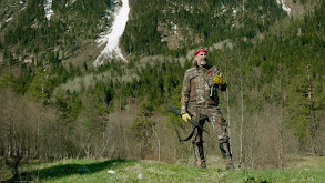 Spot and Stalk Black Bear Hunt thumbnail