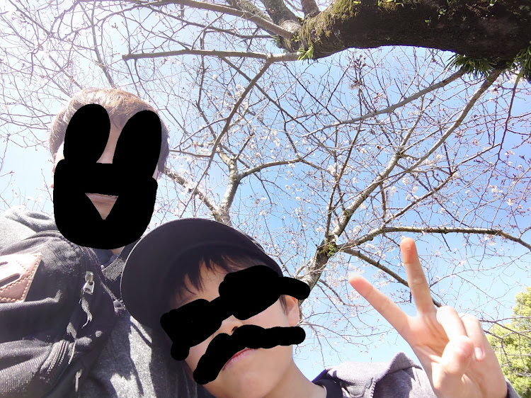 フーガの鹿児島・桜が散る前にに関するカスタム事例の投稿画像5枚目