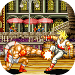 Cover Image of Download Fury Warrior 9 APK