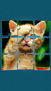 Cute Cats Jigsaw Puzzle Screenshot