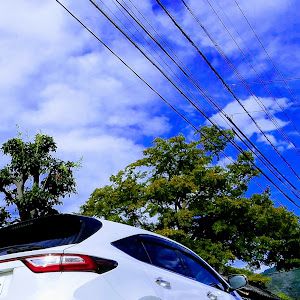 ハリアー ZSU60W