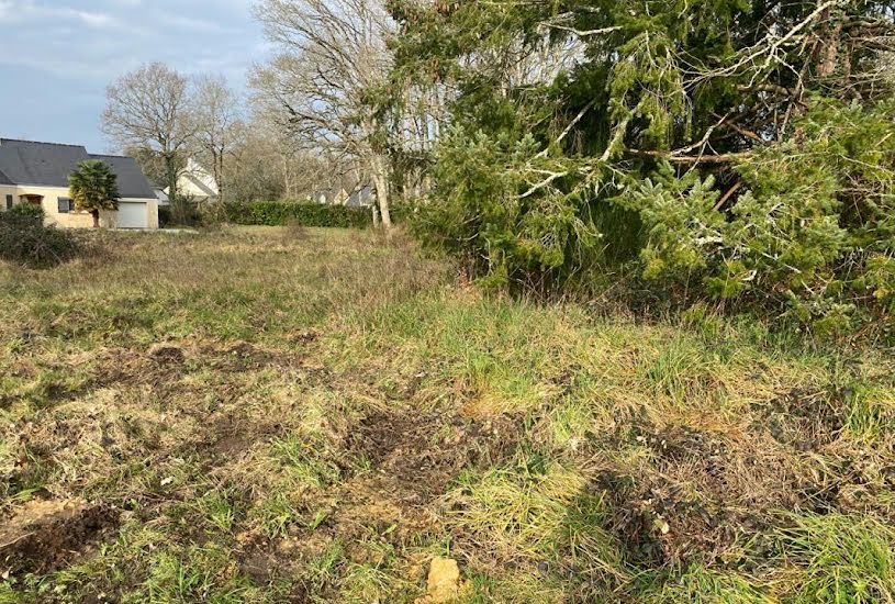  Vente Terrain à bâtir - à La Chapelle-des-Marais (44410) 