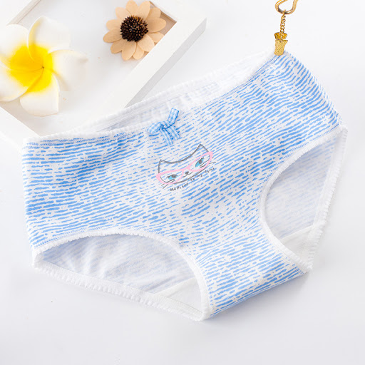 Title 3, Mid-Waist Briefs Cotton Womens Panties Comfort...