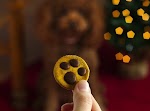 Paw Print Dog Treats was pinched from <a href="http://www.bettycrocker.com/recipes/paw-print-dog-treats/70ebcf6d-b7ee-4abd-928a-960bb216c938" target="_blank">www.bettycrocker.com.</a>