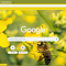 Item logo image for Macro Honey Bee on Flower