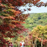 台北奧萬大樂活莊園