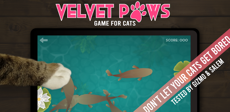 Velvet Paws - Game for Cats