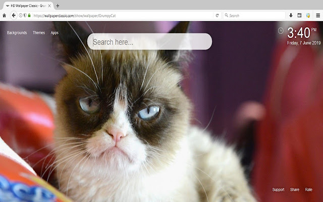 Grumpy Cat HD Wallpapers New Tab Themes