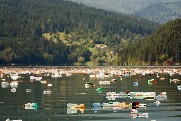 A lake polluted with plastic bottles.