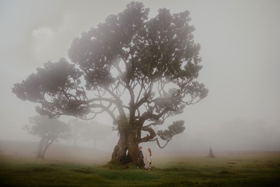 Fotógrafo de bodas Maja Zadora (windrosephoto). Foto del 22 de diciembre 2021