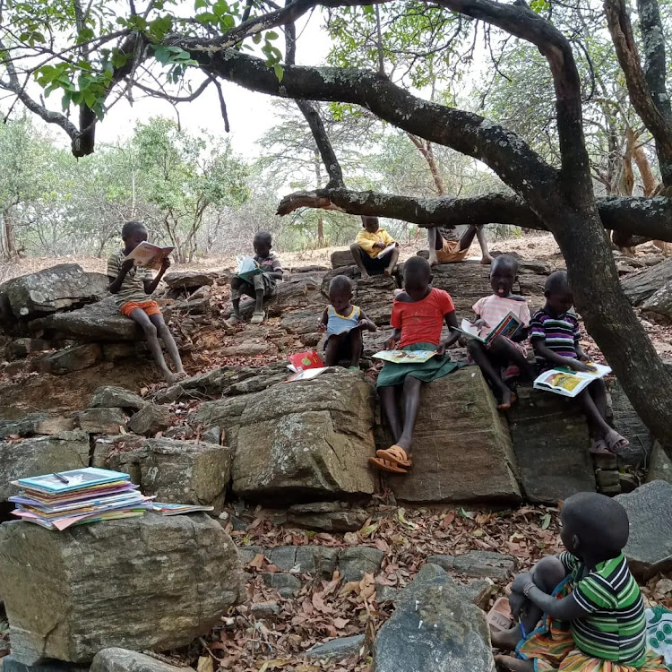 Children in Lokna village, West Pokot County read books under a tree.