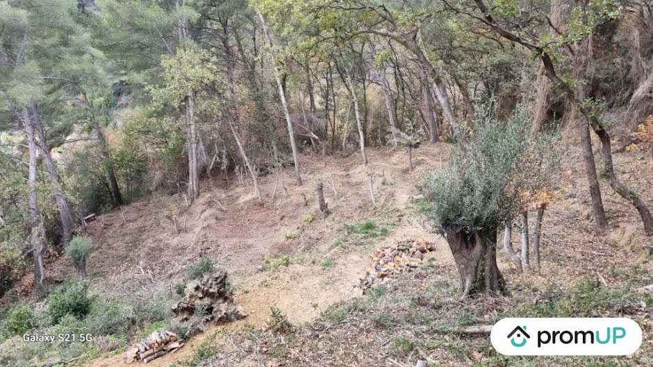 Vente terrain  2048 m² à Gorbio (06500), 60 000 €