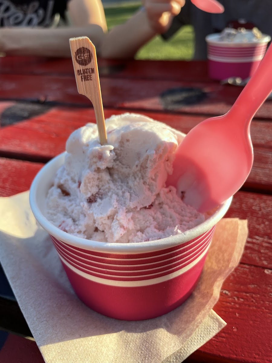 Gluten-Free at Tracy Girl Food Truck Co & Ice Cream Stand