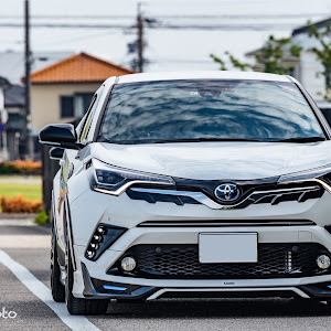 C-HR ZYX10