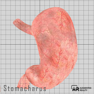 Stomacharus.apk 1.0