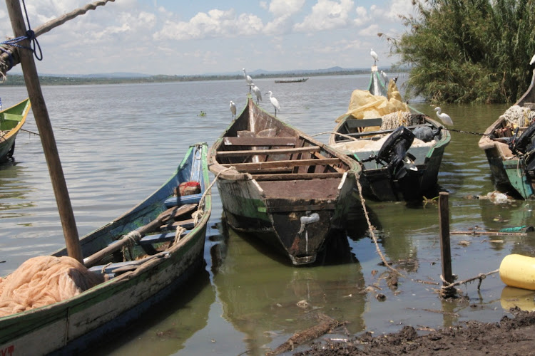 A view of Kibro Beach in Nyatike subcounty on May 6, 2021.