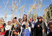 Omama besiPhithiphithi carry reeds to present to King MisuZulu. 