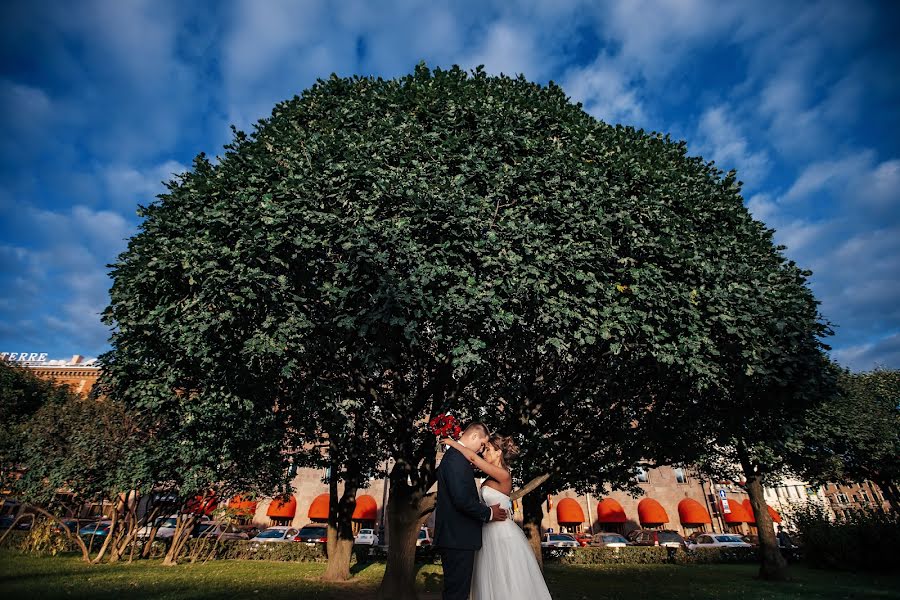 Wedding photographer Aleksey Averin (alekseyaverin). Photo of 20 December 2017