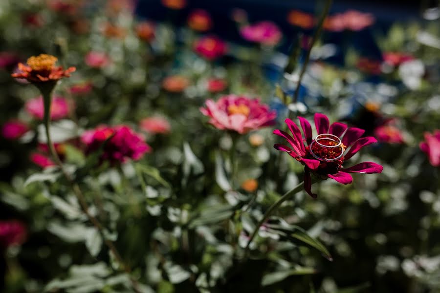 Fotograful de nuntă Rodrigo Zelada (rodrigozelada). Fotografia din 30 mai 2018