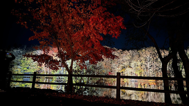ニュービートルの紅葉・夜は寒いな〜・間も無く雪に関するカスタム事例の投稿画像3枚目