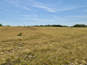 terrain à Sainte-Marie-de-Gosse (40)