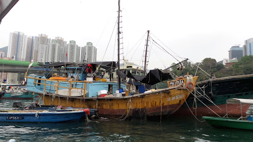 Sampan Boat Tour Hong Kong China 2016