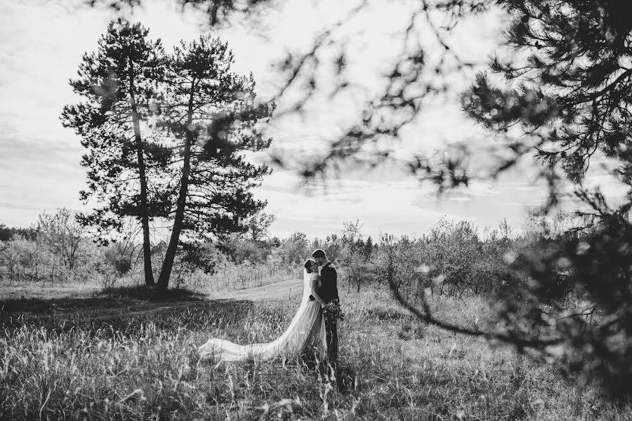 Fotografo di matrimoni Zsolt Sári (zsoltsari). Foto del 19 luglio 2022