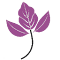 Item logo image for Nepeto