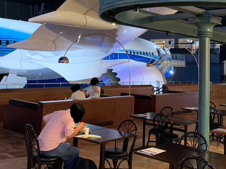 にゃあ大佐さんが投稿したフライトオブドリームス・快適な空の旅・ボーイング787・マツダ787Bではない・飛行機Tuneに関するカスタム事例の投稿画像4枚目
