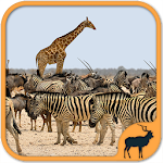 Cover Image of Baixar Animals Puzzle Zoo free - games for all ages 5.34.034 APK