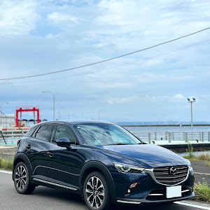 CX-3 DKEFW