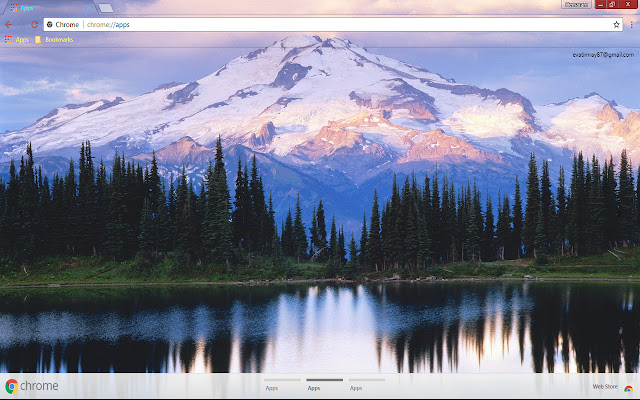 Forest Mountain Snow chrome extension