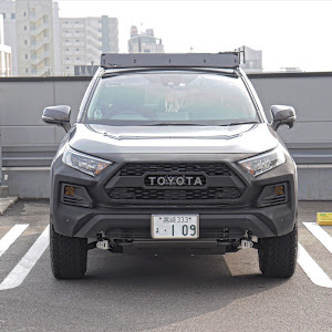 RAV4 MXAA54