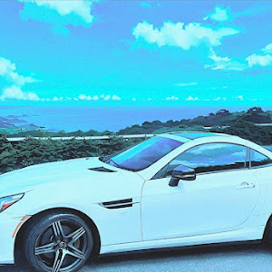 SLC R172