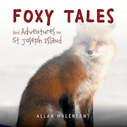 Foxy Tales and Adventures on St Joseph Island cover