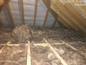 LOFT INSULATION JOBS  album cover