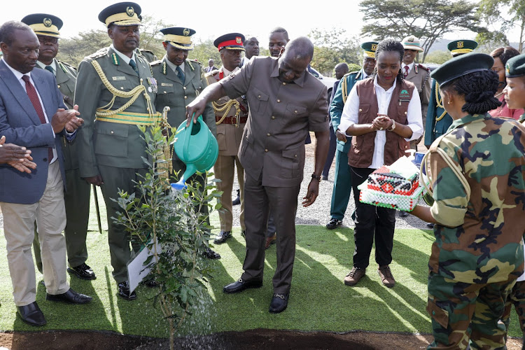 President William Ruto planting a tree during the pass-out parade of forest rangers in Gilgil, Nakuru County on October 11, 2023.