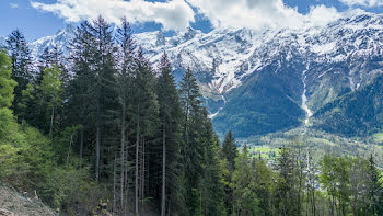 terrain à Les Houches (74)