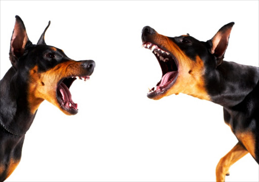 what is the law about dogs barking