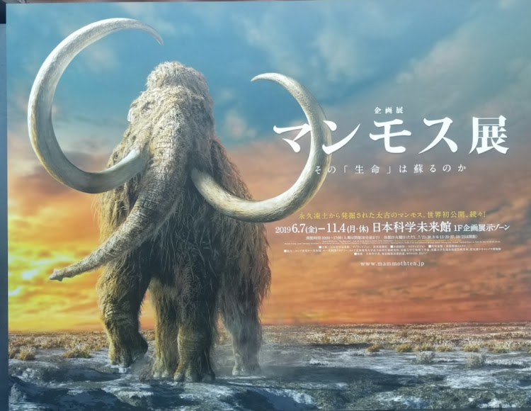 samurai374さんが投稿した東京モーターショー行かない エピソード3・船の科学館はバブルの雰囲気・宗谷と南極物語・マンモス展と未来科学館・BMW.プロドライバー同乗試乗会に関するカスタム事例の投稿画像16枚目