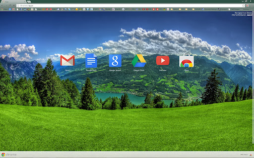 Feledyn Computer Services screenshot 1