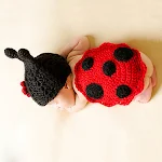 Ladybug
